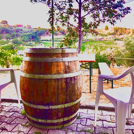 Acquaviva Guest house *