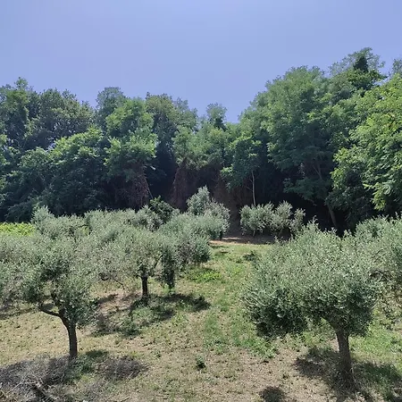 Gasthof Acquaviva Marina di San Vito