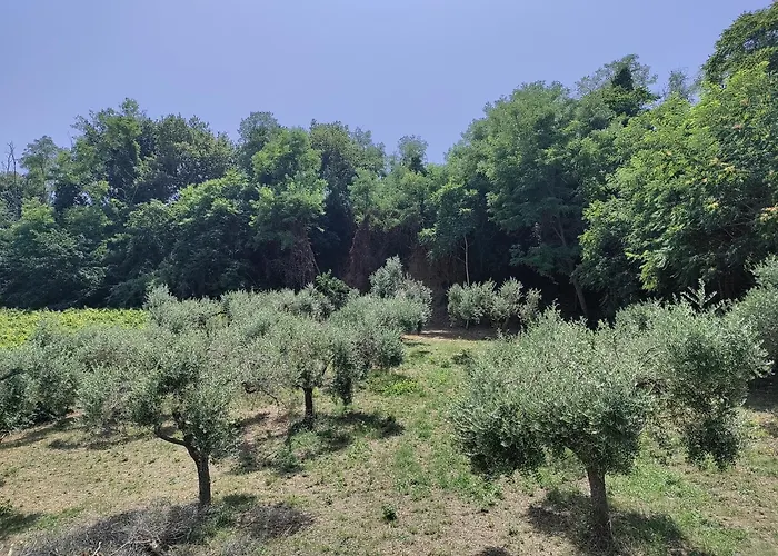 Πανσιόν Acquaviva Marina di San Vito